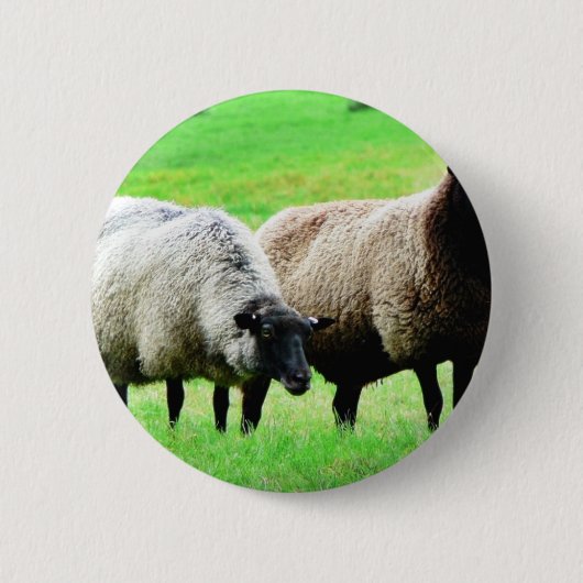 黒はヒツジの先頭に立ちました 缶バッジ (正面)