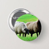 黒はヒツジの先頭に立ちました 缶バッジ (正面&裏面)