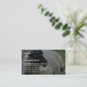 黒は草のヒツジの先頭に立ちました 名刺 (スタンド正面)