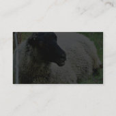 黒は草のヒツジの先頭に立ちました 名刺 (裏面)