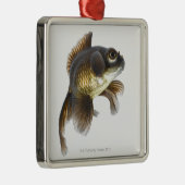 黒は金魚(フナのauratus)を2繋ぎ止めます メタルオーナメント (右)