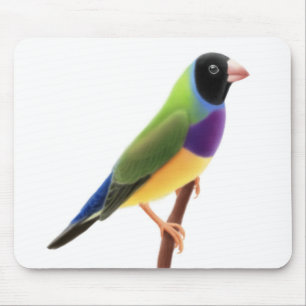 黒はGouldianのフィンチのマウスパッドに直面しました マウスパッド