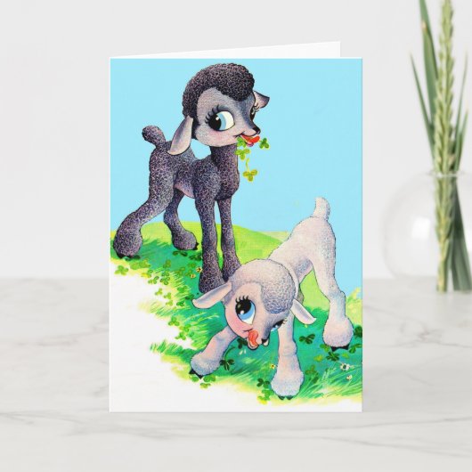 黒ひつじ 白ひつじ カード (正面)