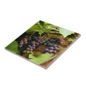 黒ぶどう タイル (側面)