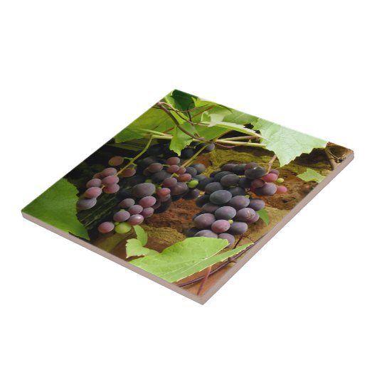 黒ぶどう タイル (側面)