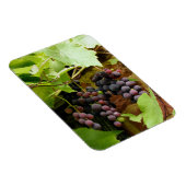 黒ぶどう マグネット (右側)