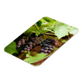 黒ぶどう マグネット (左側)