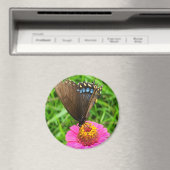 黒アゲハチョウ蝶とピンクの花 マグネット (インサイチュ (食洗機))