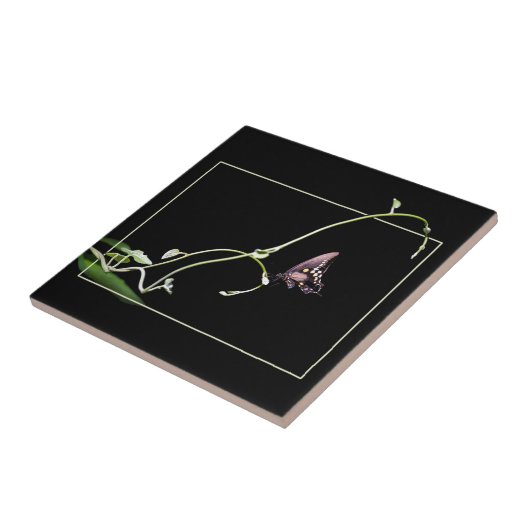 黒アゲハチョウ蝶 タイル (側面)