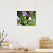 黒アゲハチョウ蝶 ポスター (キッチン)