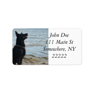 黒アルザチアン縦断 ラベル