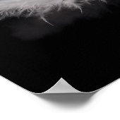 黒エレガントい背景の白い羽毛 ポスター (角)