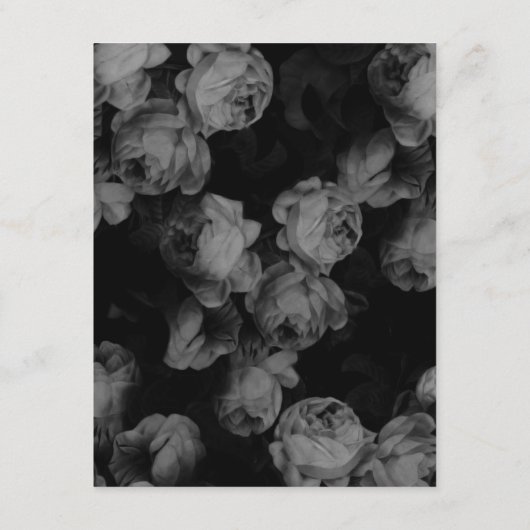 黒エレガントと白のバラの結婚挿入カード エンクロージャーカード (裏面)