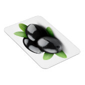 黒オリーブ マグネット (右側)