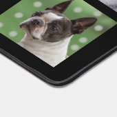 黒カスタムと白の犬の写真|過去記事 デスクマット (コーナー)