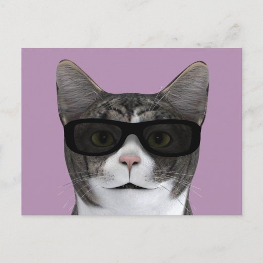 黒カッコいいサングラス猫 ポストカード (正面)