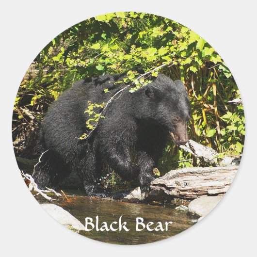黒クマ野生動物のステッカー「サーモン・スポッティング」 ラウンドシール (正面)
