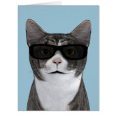 黒クール眼鏡の猫 (正面)