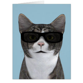 黒クール眼鏡の猫