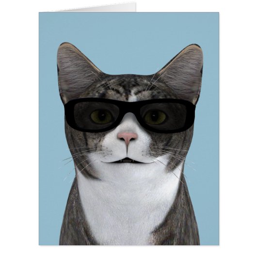 黒クール眼鏡の猫 (正面)