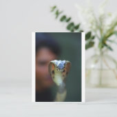 黒コブラ ポストカード (スタンド正面)