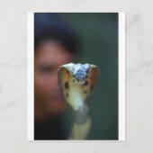 黒コブラ ポストカード (正面)