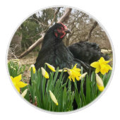 黒コーチンドアキャビネットハンドルのプルイエティ右 セラミックノブ (正面)