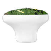 黒コーチンドアキャビネットハンドルのプルイエティ右 セラミックノブ (側面)