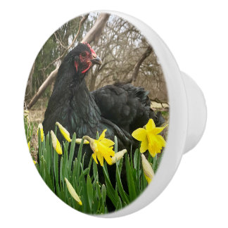 黒コーチンドアキャビネットハンドルのプルイエティ右 セラミックノブ