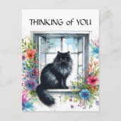 黒シベリア猫の窓の水カラーフローラ ポストカード (正面)