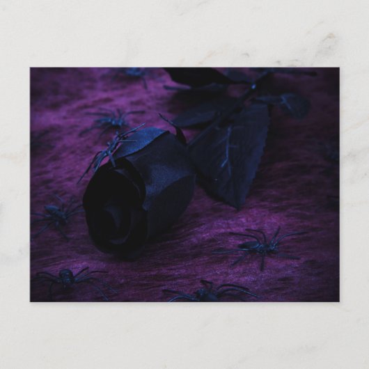 黒バラはがき ポストカード (正面)