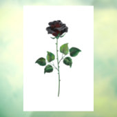 黒バラ花 ウィンドウサイン (シート3)