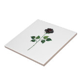 黒バラ花 タイル (側面)