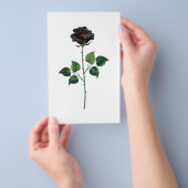 黒バラ花 チラシ (ハンドル)