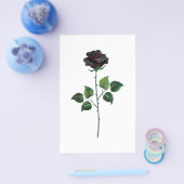 黒バラ花 チラシ (シングル)