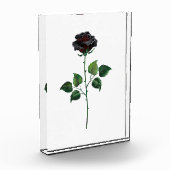 黒バラ花 フォトブロック (左)