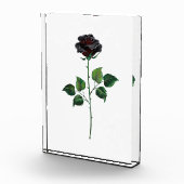 黒バラ花 フォトブロック (右)
