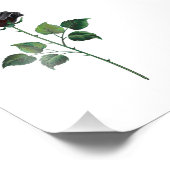 黒バラ花 フォトプリント            (角)