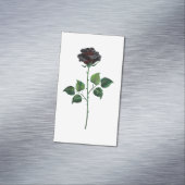 黒バラ花 マグネット名刺 (インサイチュ)