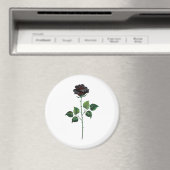 黒バラ花 マグネット (インサイチュ (食洗機))