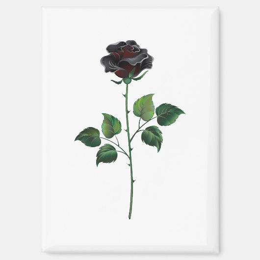 黒バラ花 マグネット (正面)