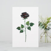 黒バラ花 便箋 (スタンド正面)