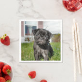 黒パグの子犬 スタンダードカクテルナプキン (インサイチュ)
