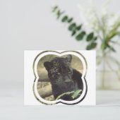 黒パンサー葉書 ポストカード (スタンド正面)