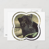 黒パンサー葉書 ポストカード (正面/裏面)