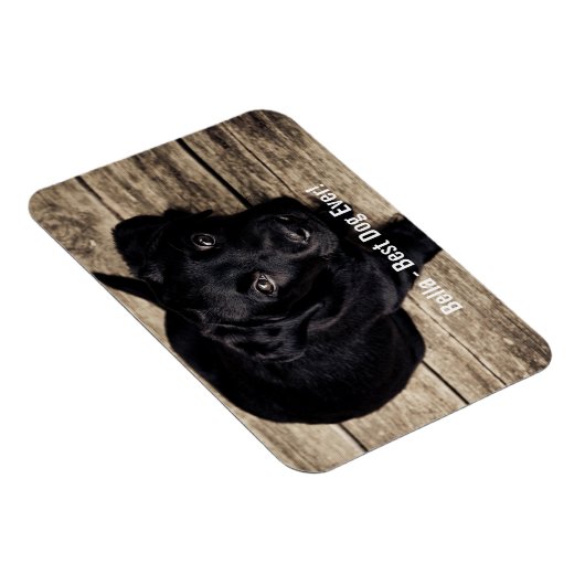 黒パーソナライズされた実験室の犬の写真と犬の名前 マグネット (右側)