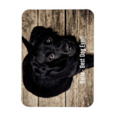 黒パーソナライズされた実験室の犬の写真と犬の名前 マグネット (縦)