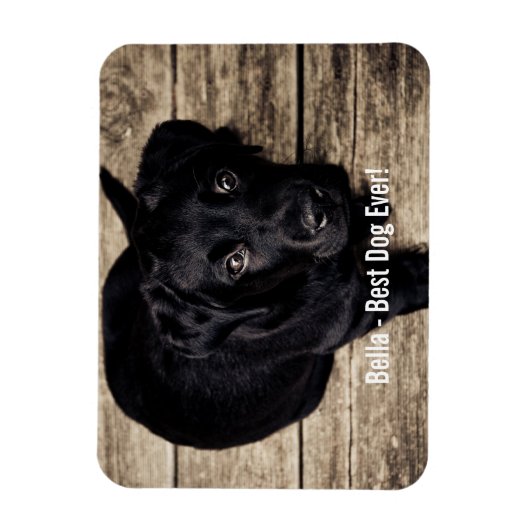 黒パーソナライズされた実験室の犬の写真と犬の名前 マグネット (縦)