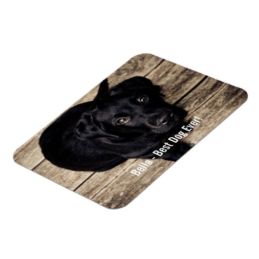 黒パーソナライズされた実験室の犬の写真と犬の名前 マグネット (左側)