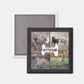 黒パーソナライズされた革の犬の写真インスタグラム マグネット (正面/裏面)